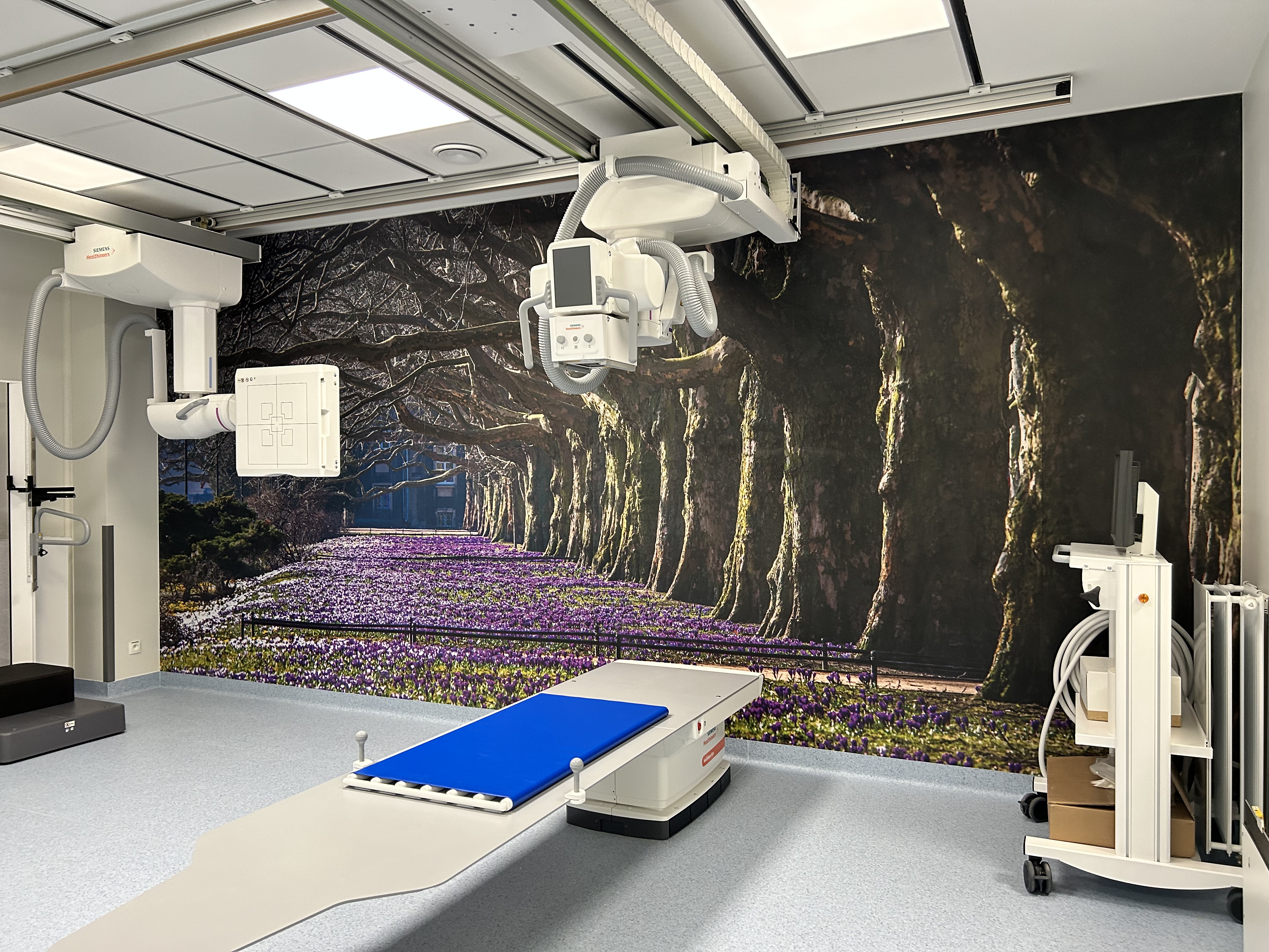 Połączenie technologii i przyrody.