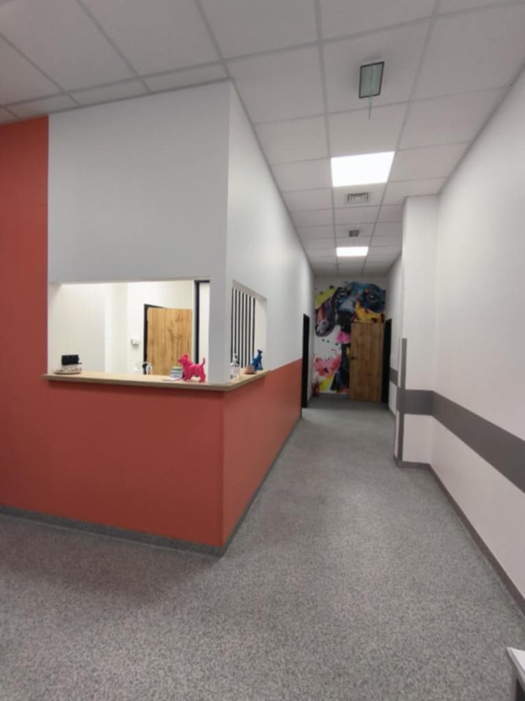 Funkcjonalność i estetyka w jednym – nasza realizacja w przychodni weterynaryjnej