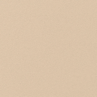 Taśma ochronna TP 100 mm